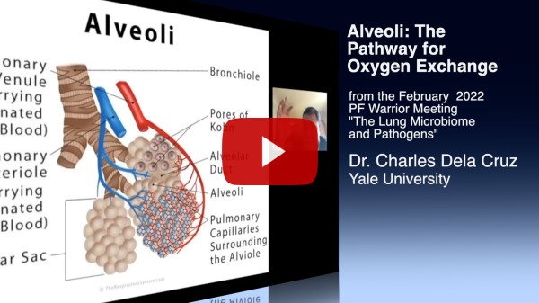 Dr. Dela Cruz explains how the aveoli in the lungs work in oxygen exchange